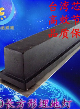 L地埋灯长方形户外3W5W长条埋地灯H广场灯庭院草坪照树景观射灯