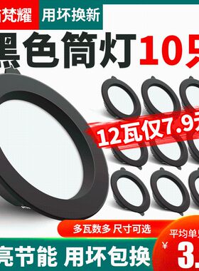 黑色工业风筒灯led嵌入式家用天花灯4寸12W开孔12公分6寸18W射灯