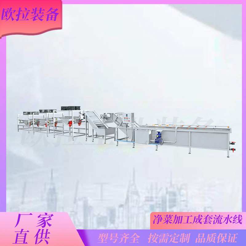 全自动酸菜清洗机 喷淋式不锈钢蔬菜清洗设备 腌豆角气泡清洗机