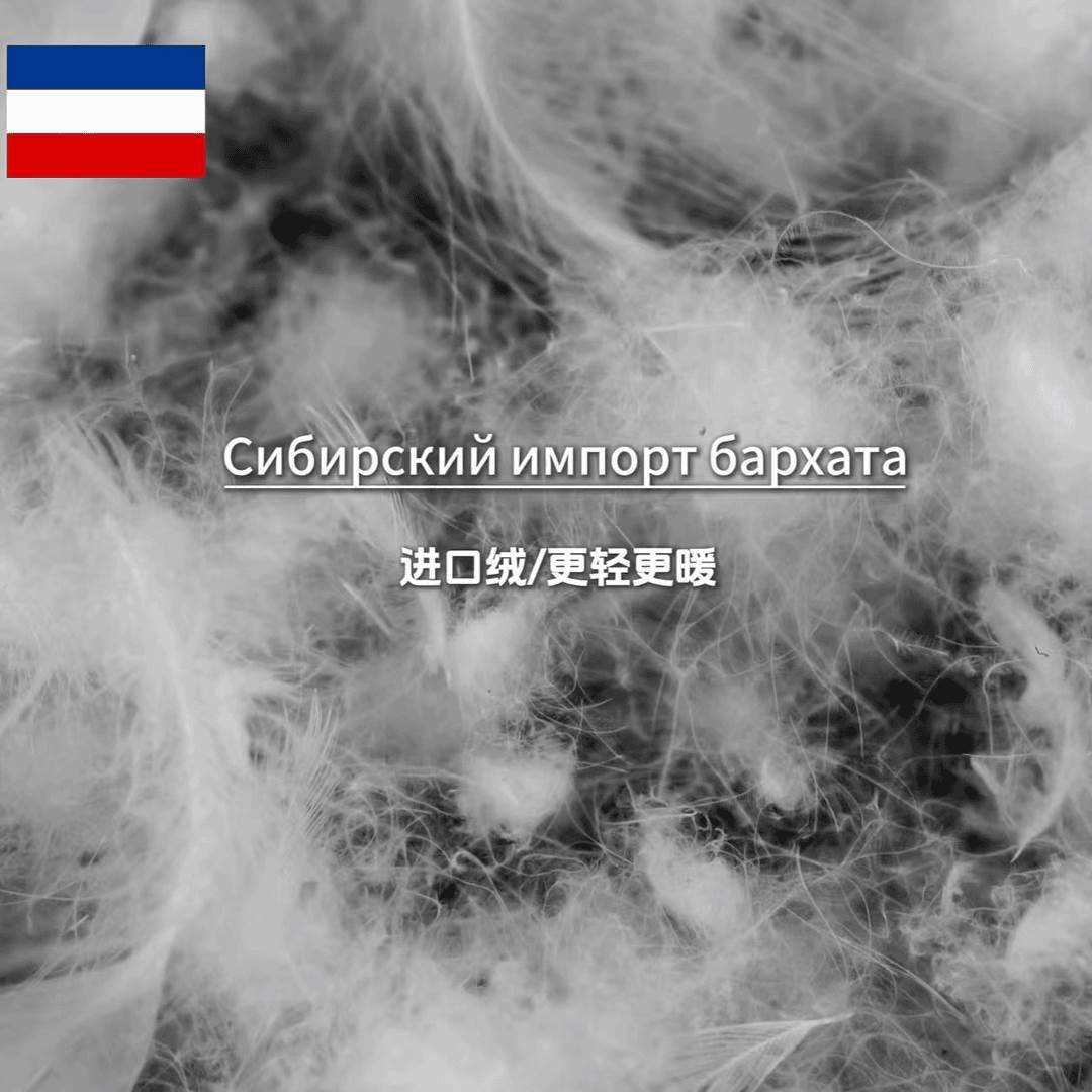 西伯利亚大白鹅柔赛丝零压静音羽丝绒蛋白被约6斤白鹅绒磨毛