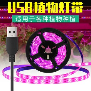 室内植物光照灯红蓝光大棚植物灯光合作用火龙果草莓灯Z植物养护