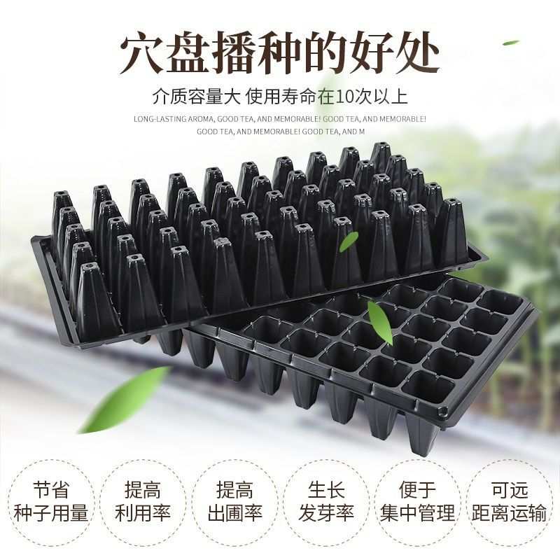 辣椒育苗盘 穴盘草莓西瓜玉米白菜育苗钵多肉扦插苗木盘秧苗盘