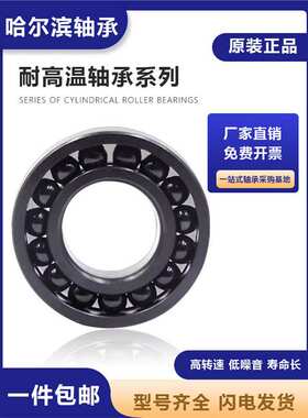 哈尔滨耐高温轴承970218 970220 满珠970222窑炉970224 970226