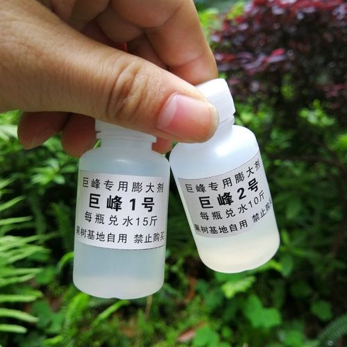 巨峰葡萄膨大剂膨大素调节剂1+2号去核保果剂 不硬梗不落果果粉好