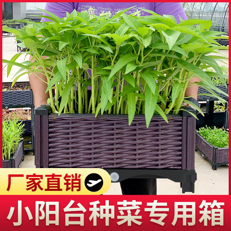 家庭阳台种菜种花专用蔬菜种植箱特大塑料花箱楼顶露台长方形花盆,鲜花速递/花卉仿真/绿植园艺,花盆,淘宝优惠券,粉丝福利购,淘宝优惠卷