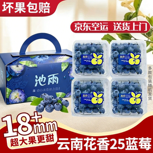 【主播严选】云南高山花香25蓝莓鲜果特大果新鲜水果礼盒100g*4盒