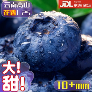 云南高山L25花香蓝莓鲜果特大礼盒当季 新鲜水果孕妇怡颗蓝梅整箱