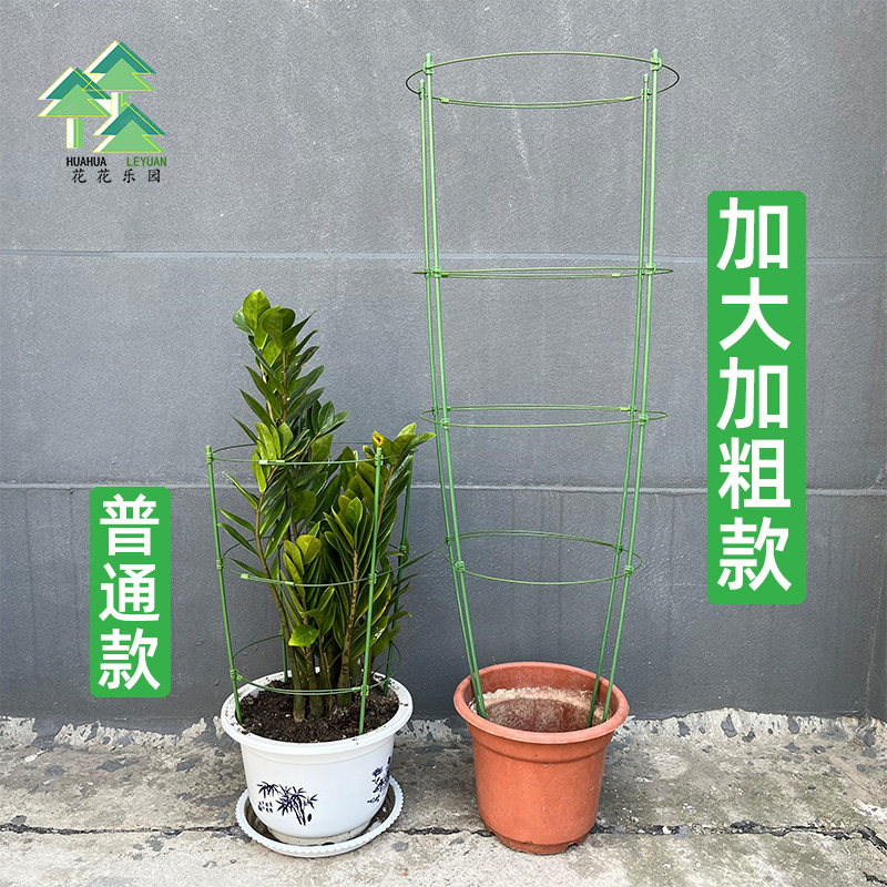 花架爬藤支架金钱树支撑杆防倒蟹爪兰支架三角梅加大固定支架图片
