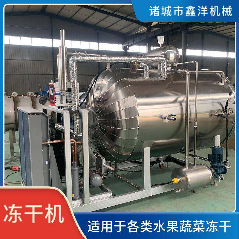 水果真空冻干机药品真空冷冻机蔬菜益生菌饮料真空冷冻设备现货