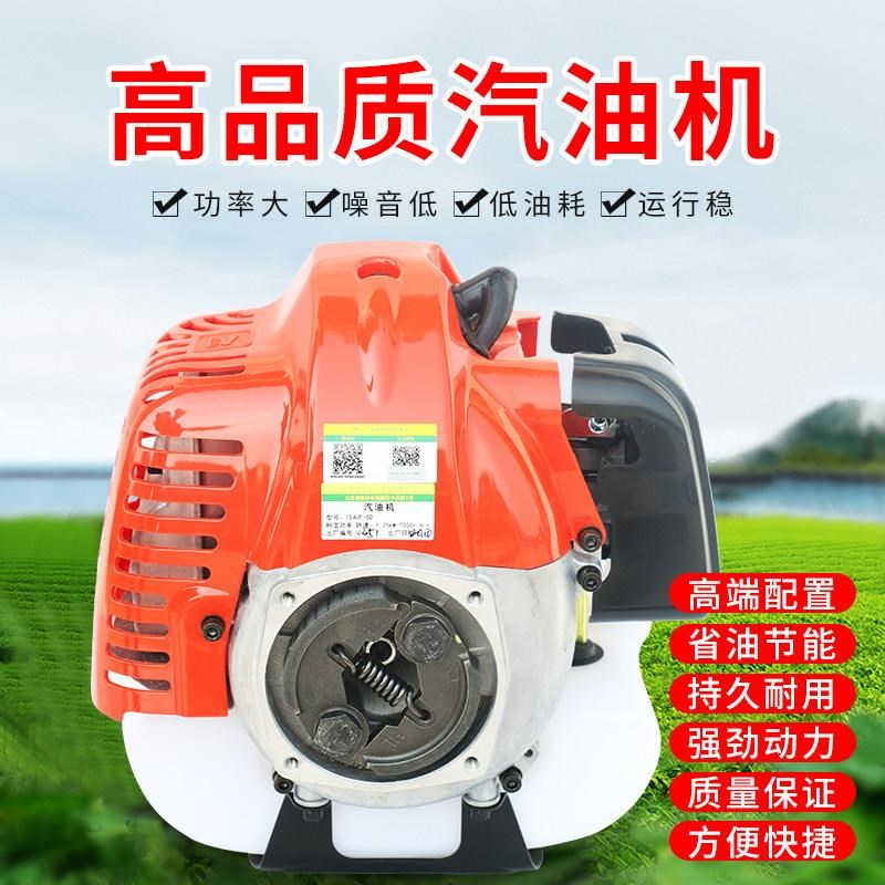两2二冲程汽油机发动n机 割草绿篱地钻高枝锯动力总成G45LTU43大
