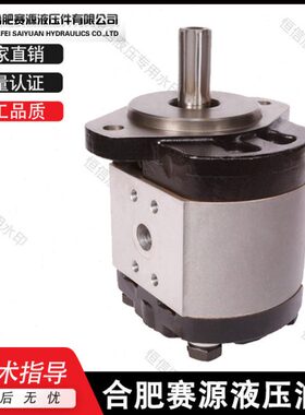 合肥赛源齿轮泵CBF-F410/412.5/414/416/418/420/425/432-AL油泵
