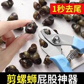 剪螺蛳屁股神器不打滑田螺螺丝锋利强力钳石螺翦田螺去尾神器