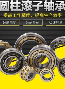 住友减速机配件摆线针偏心套整体轴承 RN204  RN205  RN206M