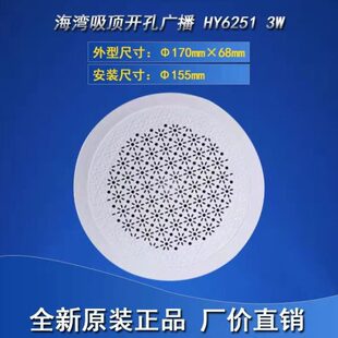 HY6253 明装 HY6251 BG5 XD5 吸顶 海湾扬声器壁挂