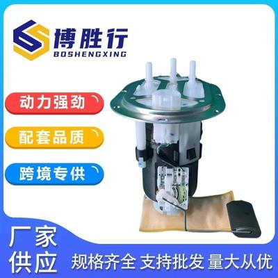 适用于华泰圣达菲燃油泵总成泵芯31110-265103111026510