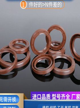 GB/T13871唇形密封圈FBTC型旋转氟胶骨架油封内径35mm外径56-75mm