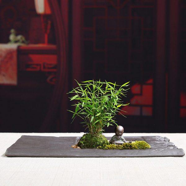 紫砂花盆陶瓷水培盆苔藓菖蒲个性创意微景观盆摆件盆景文竹古典盆