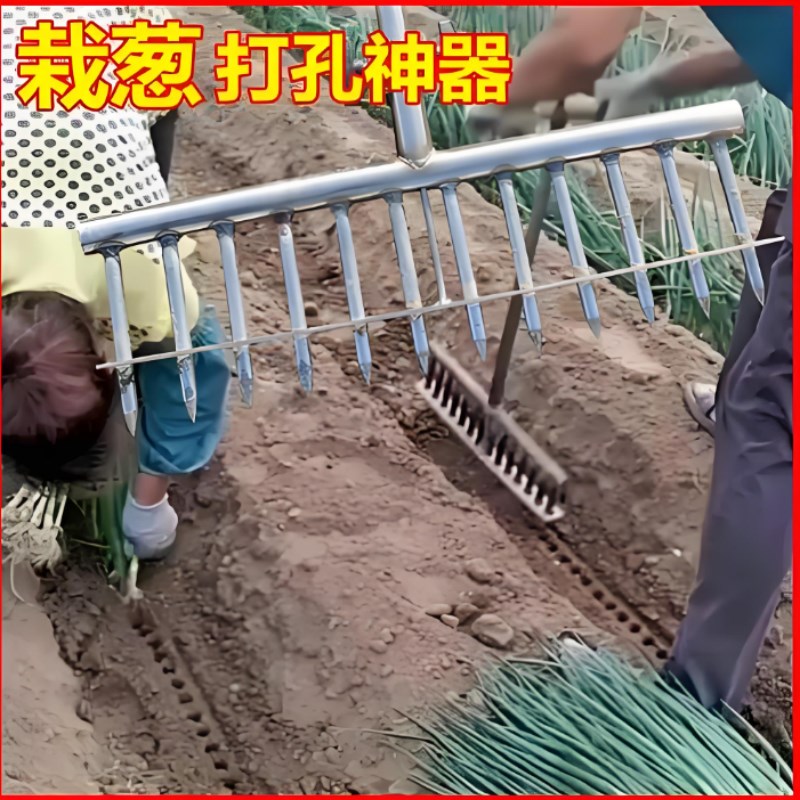 栽葱神器种葱插专用工具叉子大葱打孔菜I移栽苗打眼器农用种植大