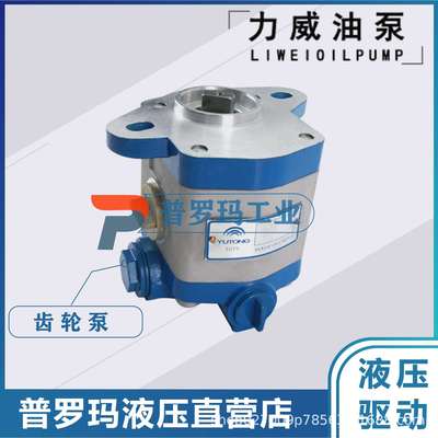 合肥力威液压泵浦沅吊车油泵潍柴 杭发WD615天力转向泵QC32/13-ST