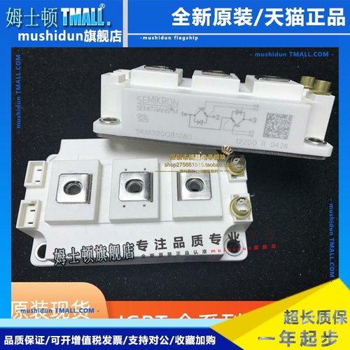 全新SKM150GB123D SKM200GB128DE SKM300GB128D SKM400GB12T4 T4G