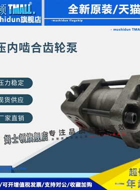 上海航发NBZ4-G40F50FG63FNBZ5-G80G100G125高压油泵内啮合齿轮泵