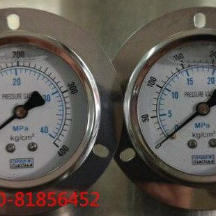 60ZT 350Kg 40MPa 35MPa M14X1.5 400Kg 轴向耐震带前边压力表YTN