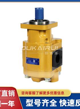 合肥长源液压齿轮油泵CBGTC2080-BLH CBGTC2063-BLH 高压动力油泵