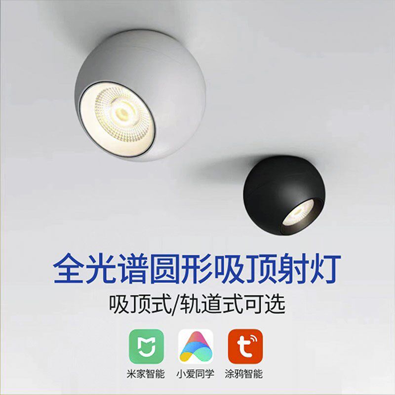 明装射灯LED灯家用客厅圆形可旋无主灯全光谱过道电视墙吸顶筒灯