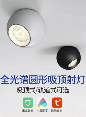 明装射灯LED灯家用客厅圆形可旋无主灯全光谱过道电视墙吸顶筒灯