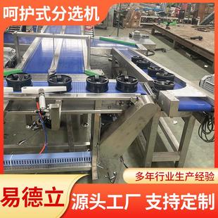 草莓无损分选机大型果蔬分级机哈密瓜无损分选机自动分拣系统