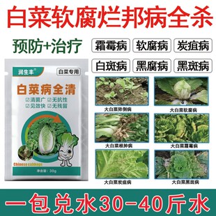 白菜病全清黄叶腐烂软腐病灰霉病黑斑根肿猝倒霜霉病干烧心叶面肥