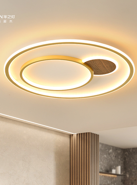 现代简约led客厅大灯长方形北欧20E21新款卧室吸顶灯书房餐厅灯具