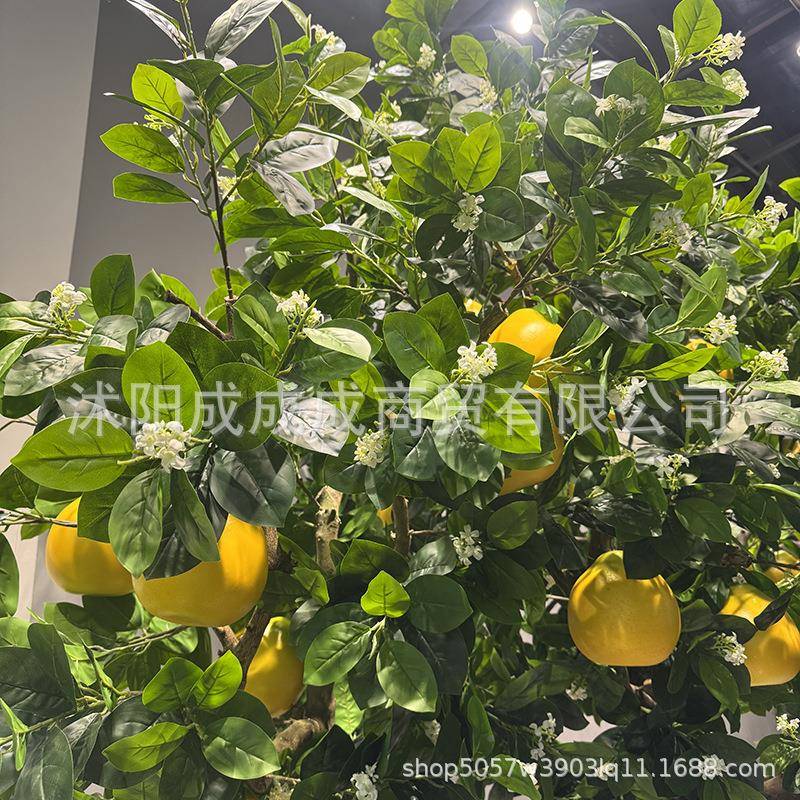 舞台柚子树造景仿柚子树假真子蜜柚树酒装饰仿真果树道具装饰假树