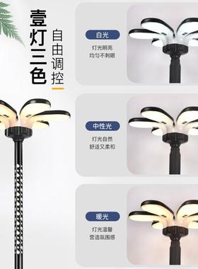 太能路灯一体式庭院灯小区别墅高杆2XS-LSHD-灯新公园街道景观灯