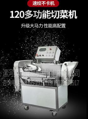 厂家直供HL-QC120型多功能切菜机 双头切菜机可切丝片切丁切段