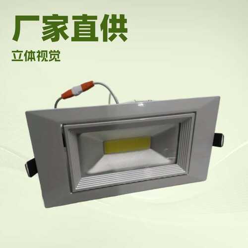 外贸热销COB LED45W40W35W30W25W20W长方形象鼻灯成品及套件射灯