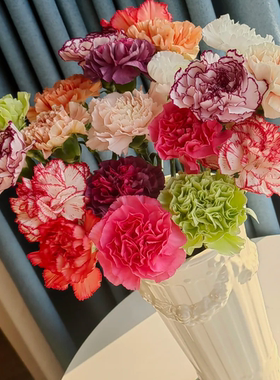 浪漫甄选（混色康乃馨）云南鲜花 任意两单升级冷链或空运到家