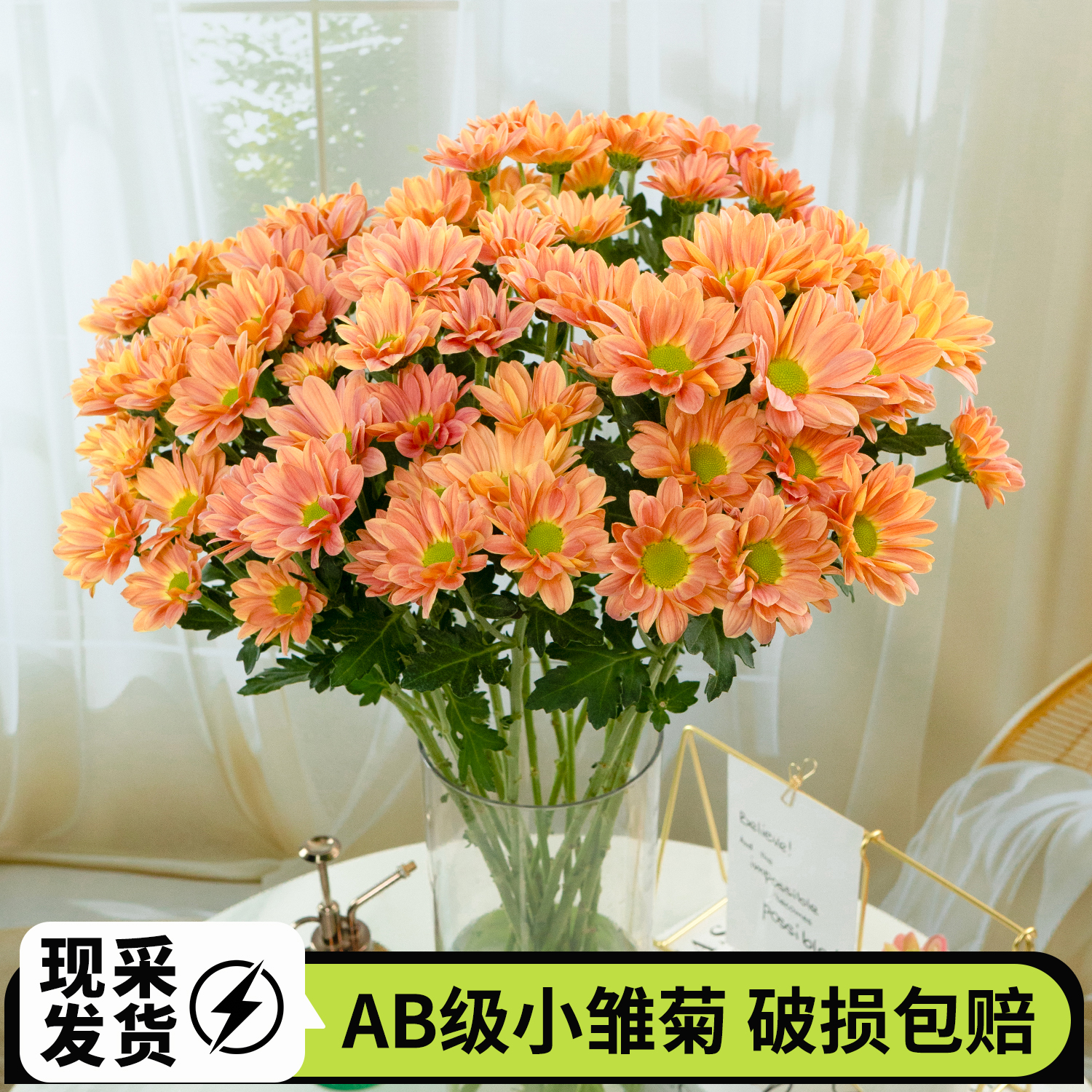 鲜切花小雏菊纽扣菊多头云南鲜花基地直发家庭水养花束花束搭配