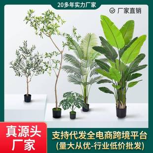 仿真散尾葵加密造景蓝花楹大型绿植盆栽装饰旅人蕉摆件橄榄树