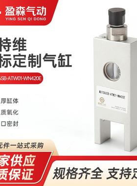 奥特维MU10X6SB-ATW01-WN420E非标定制气缸气动气缸