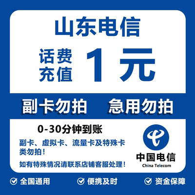 山东电信话费充值 1元 快充直充 30分钟自动充值快速到账