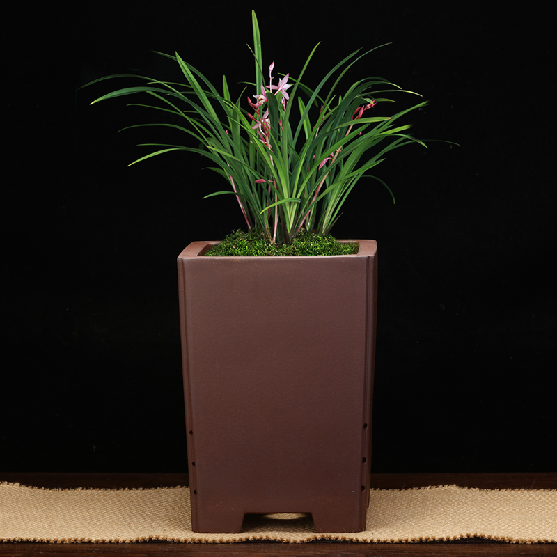 精品紫砂花盆大号四方高签筒盆景盆老F桩兰花盆君子兰客厅绿植包