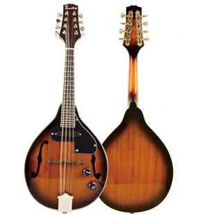 【Timothy&蒂莫西】电声+沙比利面板曼陀铃  附海绵琴袋曼陀林