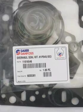 萨澳丹佛斯H1P045 H1P053柱塞泵修理包