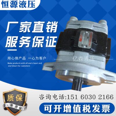 天津岛津液压齿轮油泵SGP1A27A9H9-R308C岛津液压油泵挖掘机齿轮