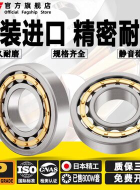 ZCY进口圆柱滚子轴承NJ413/414/415/416/417/418/419/420EM P5 P4