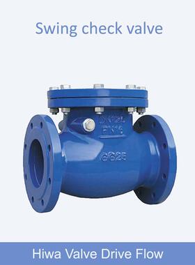 旋起式止回阀国标德标PN16法兰铸铁汇华DN50-800