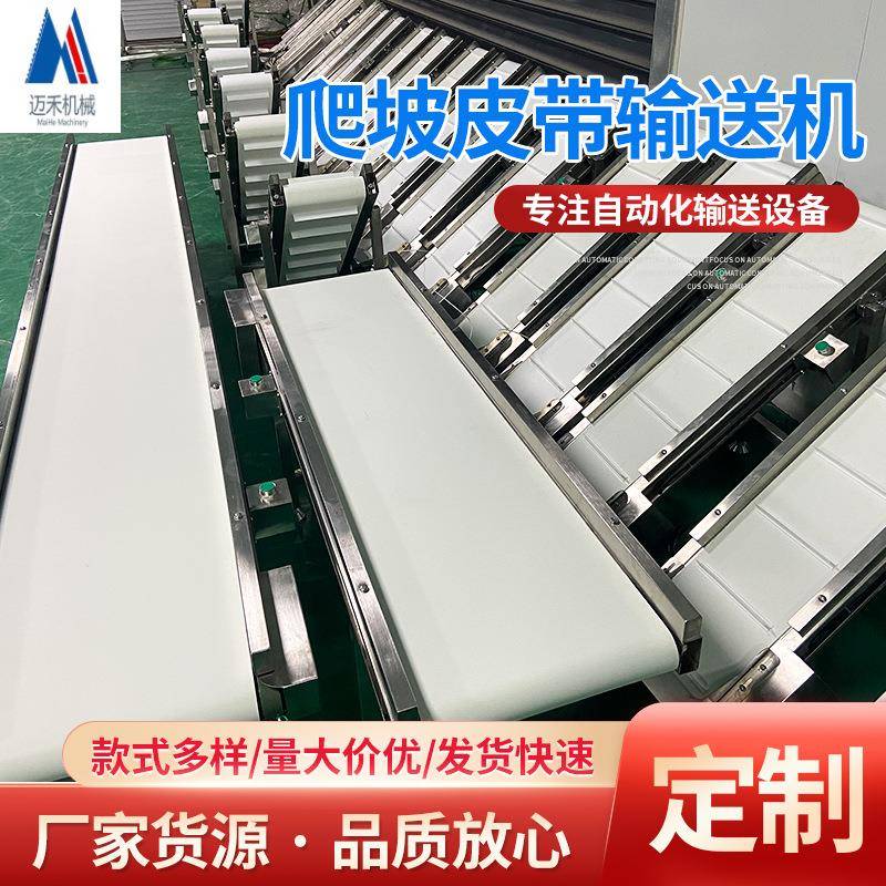 浙江色选机配套输送机江苏色选机食品皮带线色选机皮带提升机