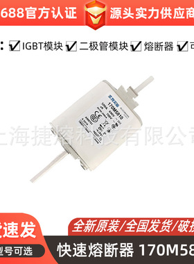 170M5810 170M5811 170M5811D 智能快速熔断器 型号齐全全新现货
