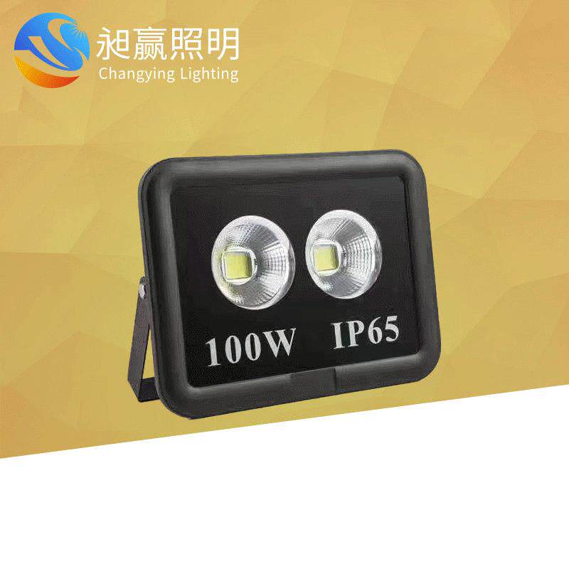 隧道灯大功率模组50w100w高速公路广场码头球场户外工程投光灯